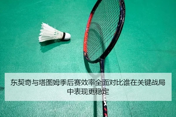 东契奇与塔图姆季后赛效率全面对比谁在关键战局中表现更稳定